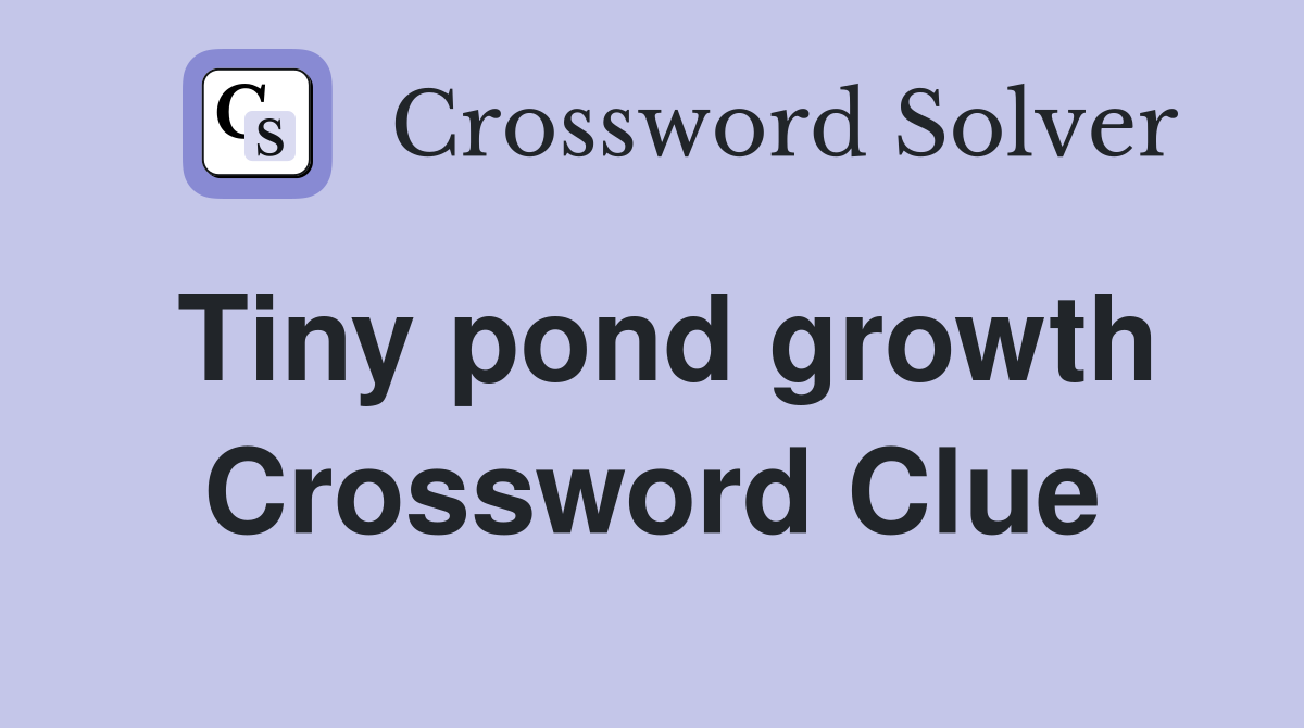 Tiny pond growth Crossword Clue