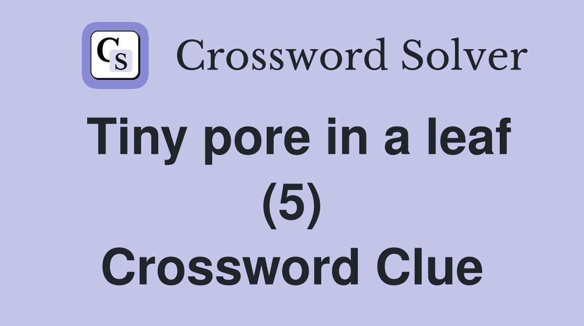 Tiny pore in a leaf (5) Crossword Clue