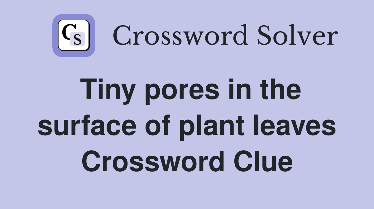 Tiny pores in the surface of plant leaves Crossword Clue