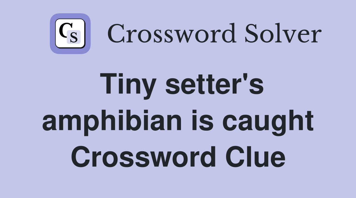 Tiny setter's amphibian is caught Crossword Clue