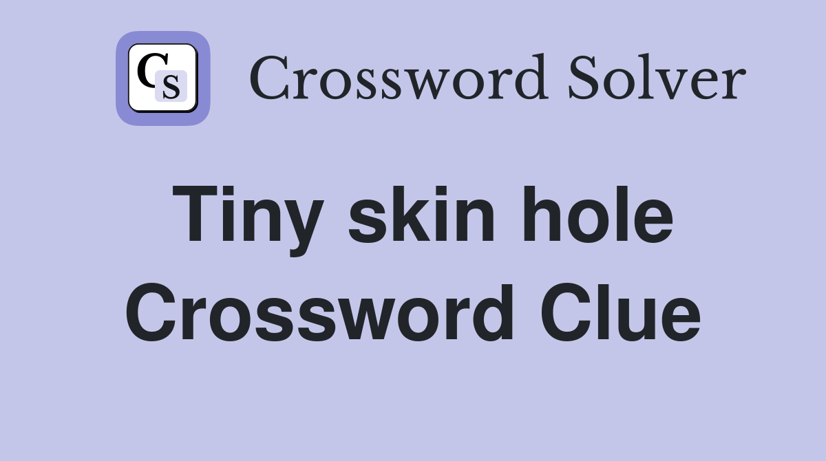 Tiny skin hole Crossword Clue