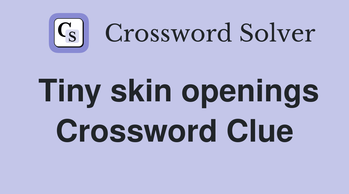 Tiny skin openings Crossword Clue