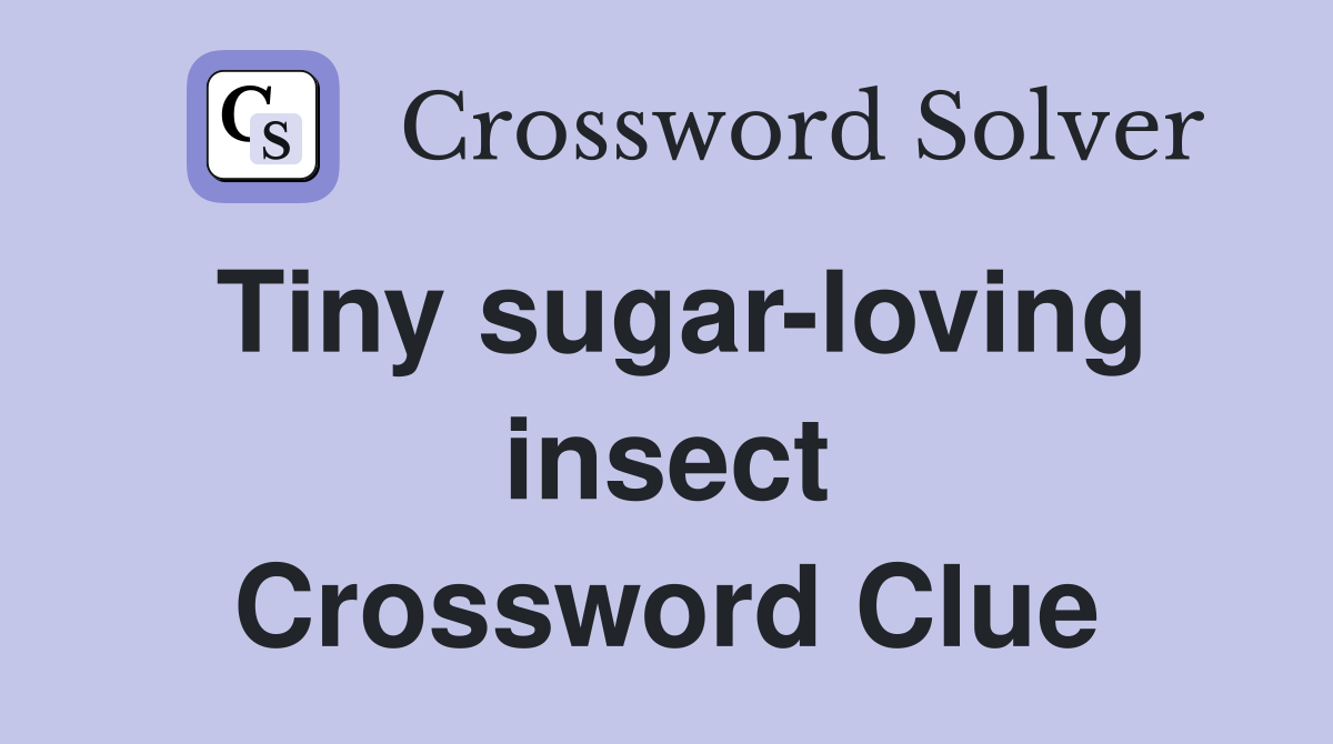 Tiny sugar-loving insect Crossword Clue
