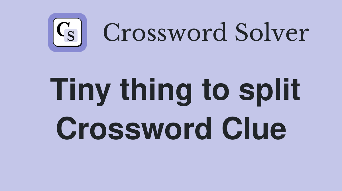 Tiny thing to split Crossword Clue