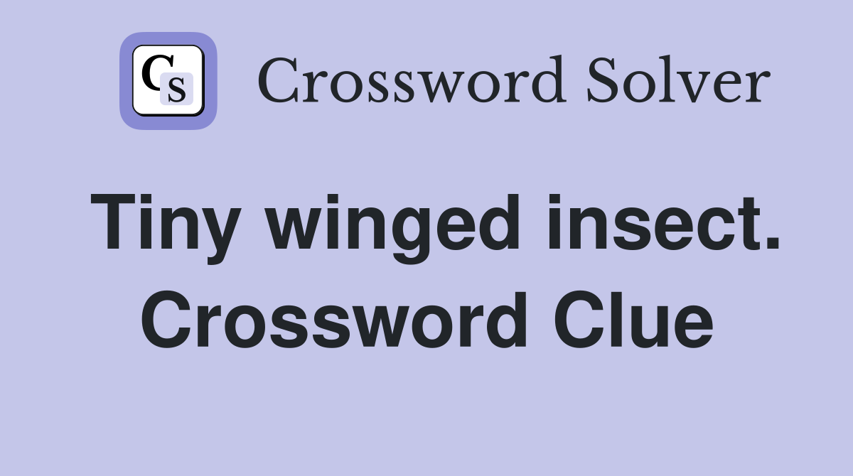 Tiny winged insect. Crossword Clue