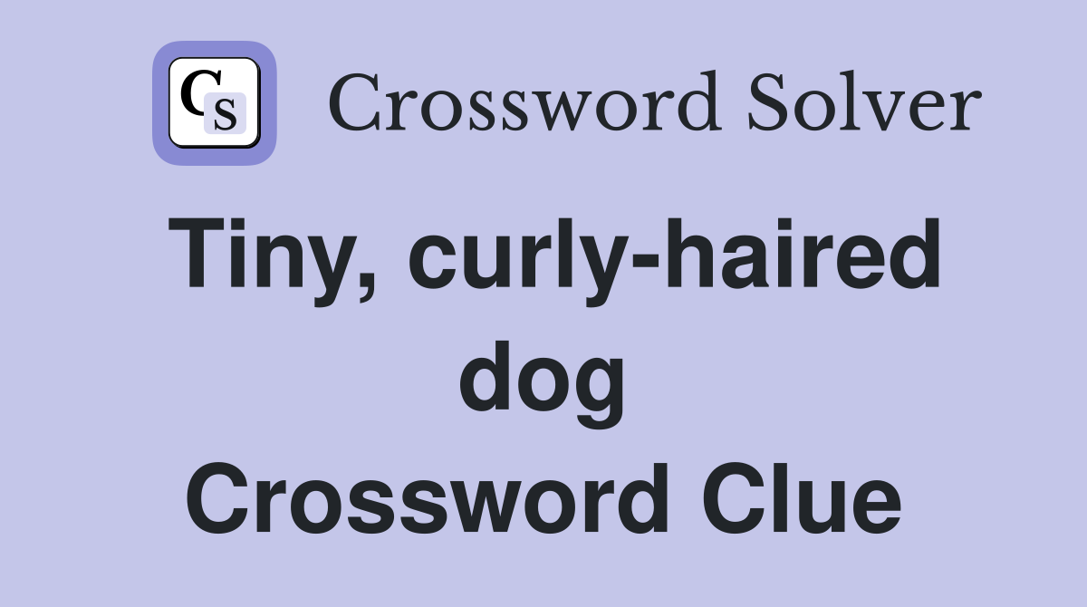Tiny, curly-haired dog Crossword Clue
