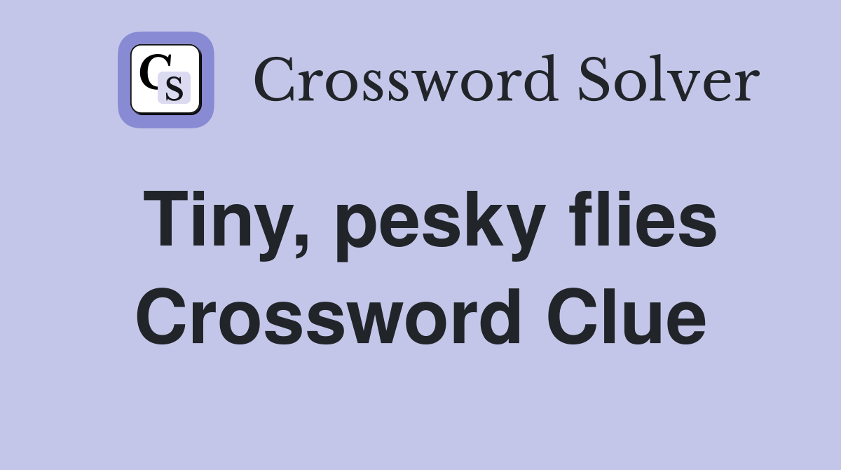 Tiny, pesky flies Crossword Clue