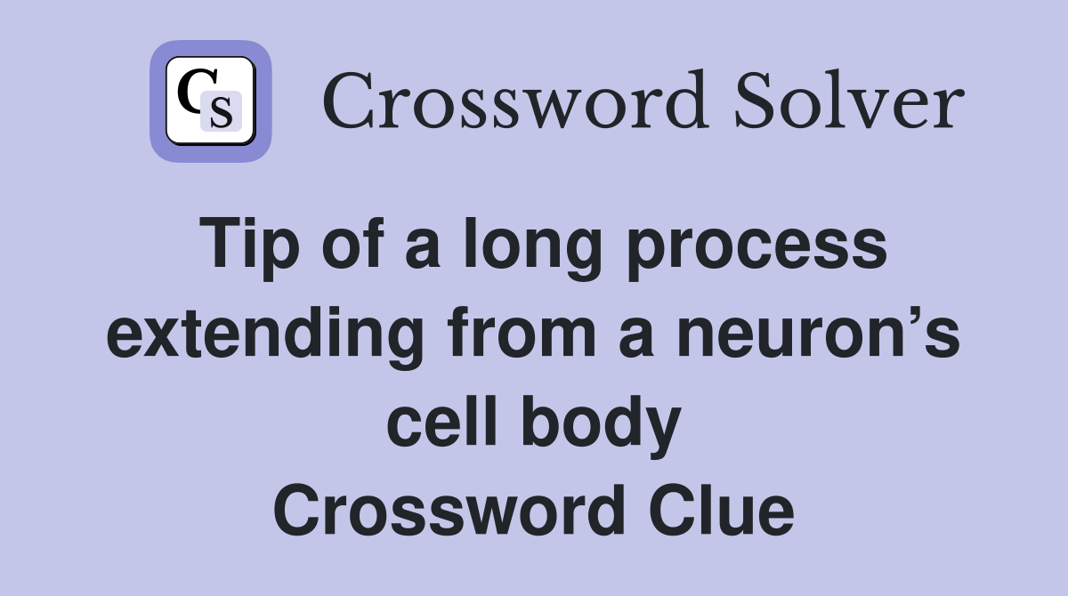 Tip of a long process extending from a neuron’s cell body Crossword Clue