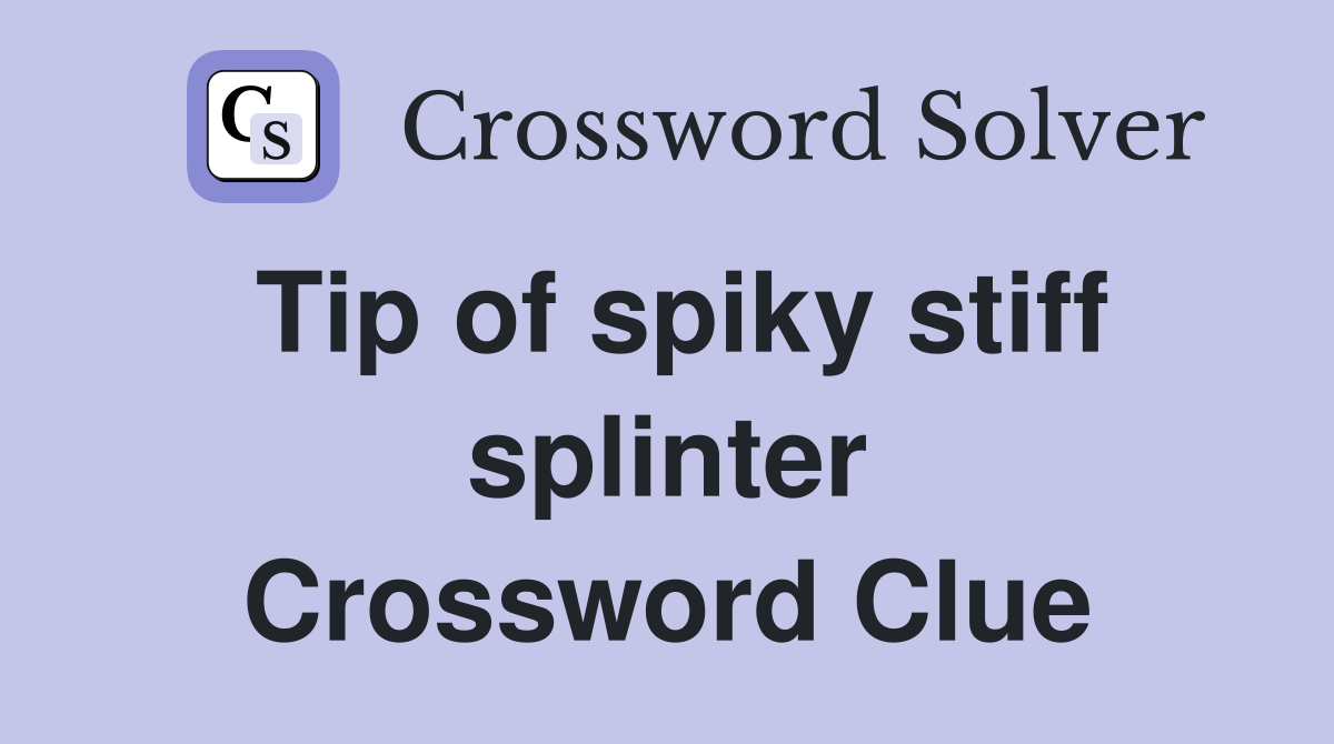 Tip of spiky stiff splinter Crossword Clue
