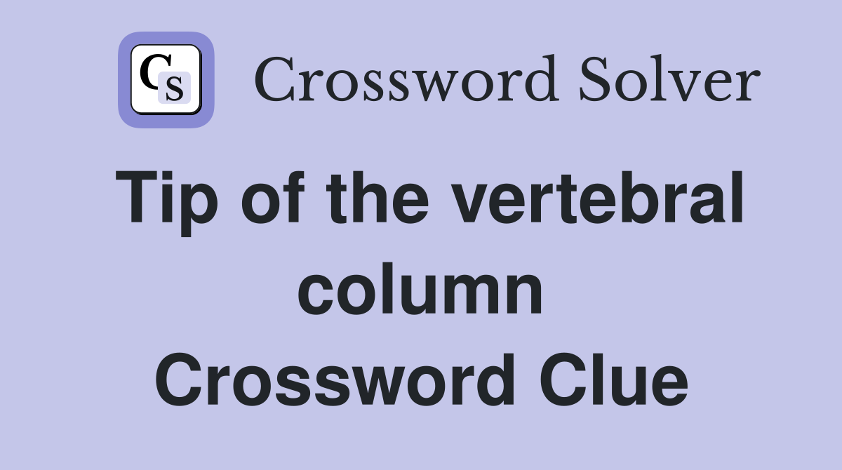 Tip of the vertebral column Crossword Clue