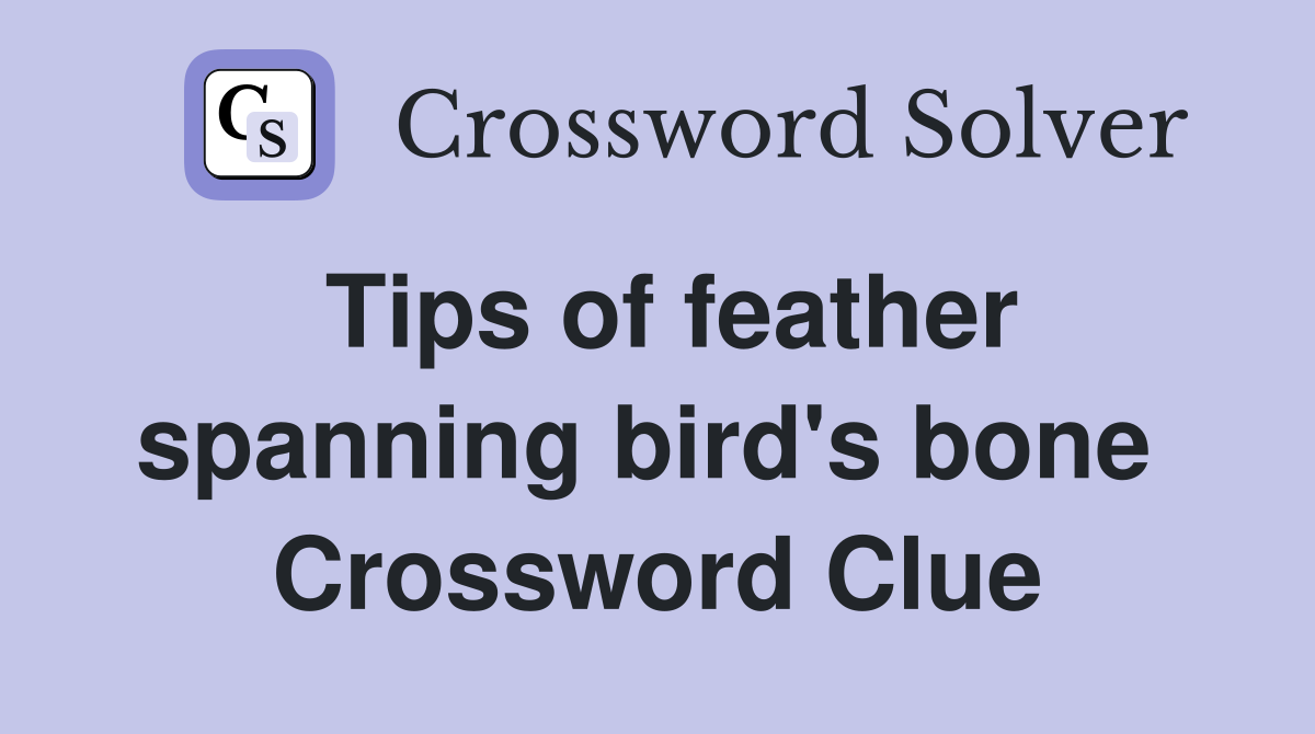 Tips of feather spanning bird's bone  Crossword Clue