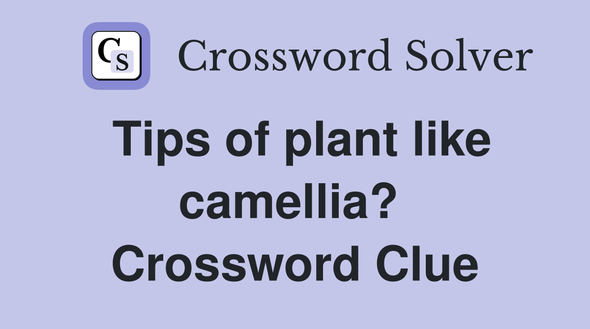 Tips of plant like camellia?  Crossword Clue