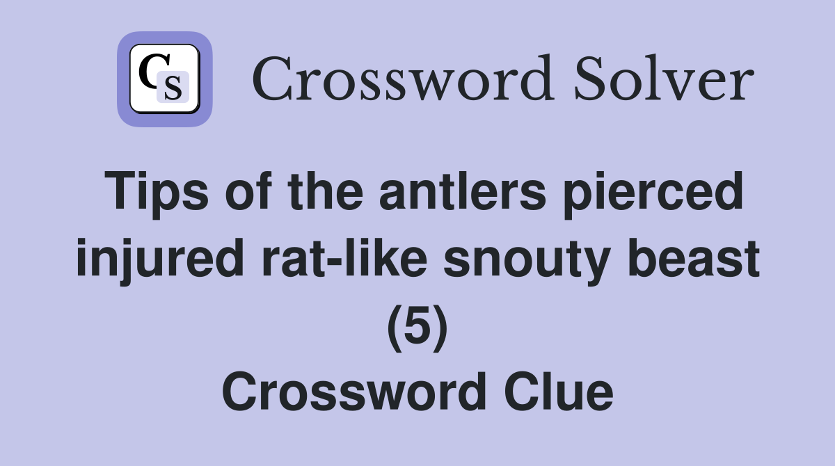 Tips of the antlers pierced injured rat-like snouty beast (5) Crossword Clue