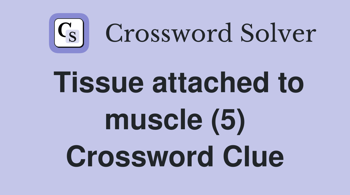 Tissue attached to muscle (5) Crossword Clue