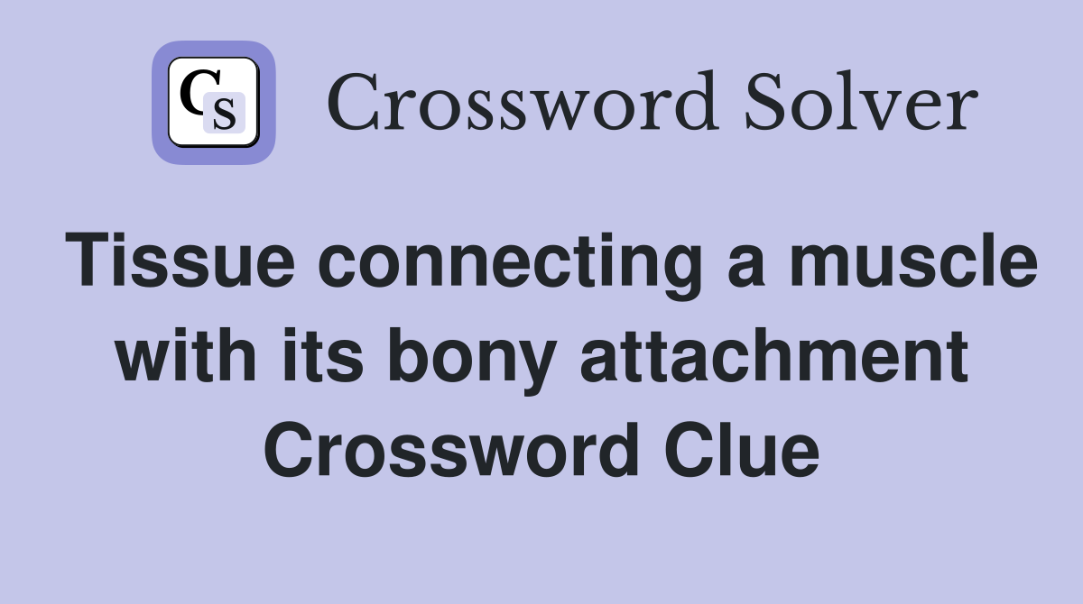 Tissue connecting a muscle with its bony attachment Crossword Clue