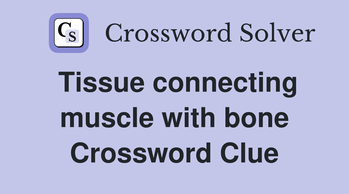 Tissue connecting muscle with bone Crossword Clue