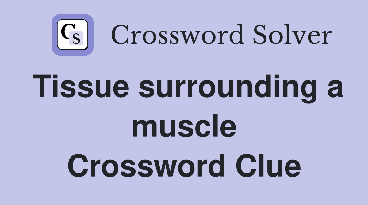Tissue surrounding a muscle Crossword Clue