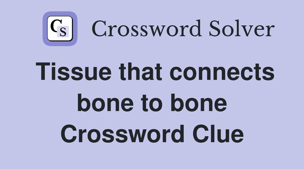 Tissue that connects bone to bone Crossword Clue