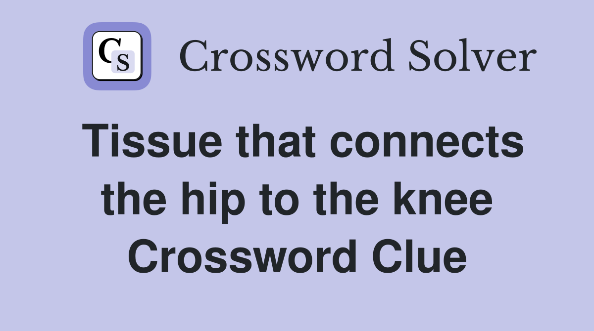 Tissue that connects the hip to the knee Crossword Clue