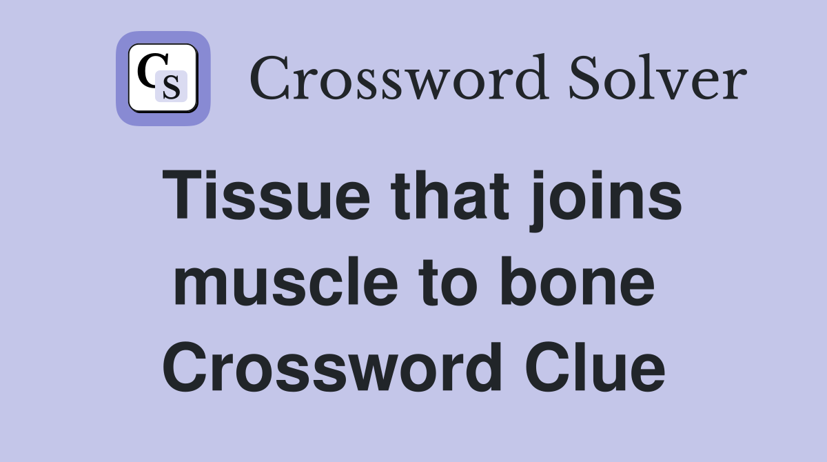 Tissue that joins muscle to bone Crossword Clue