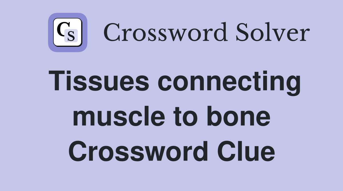 Tissues connecting muscle to bone Crossword Clue