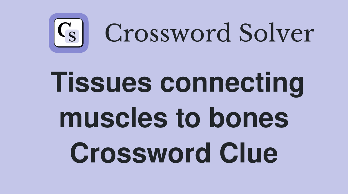 Tissues connecting muscles to bones Crossword Clue