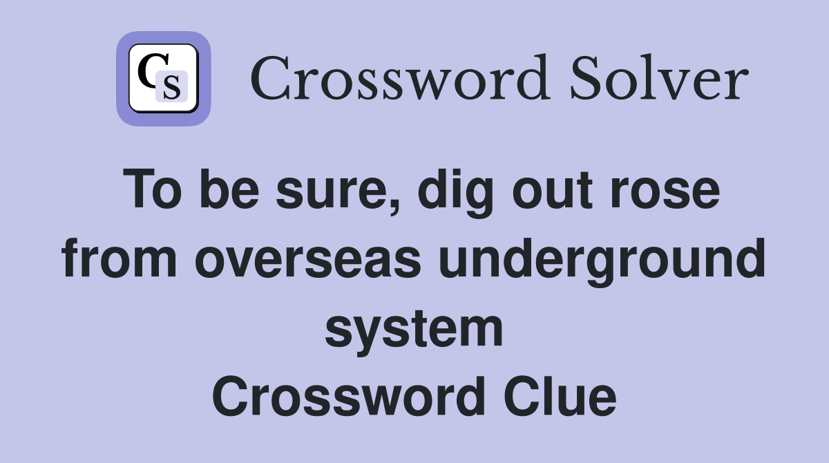 To be sure, dig out rose from overseas underground system Crossword Clue