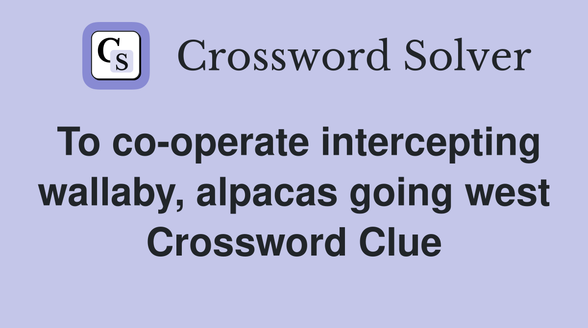 To co-operate intercepting wallaby, alpacas going west Crossword Clue