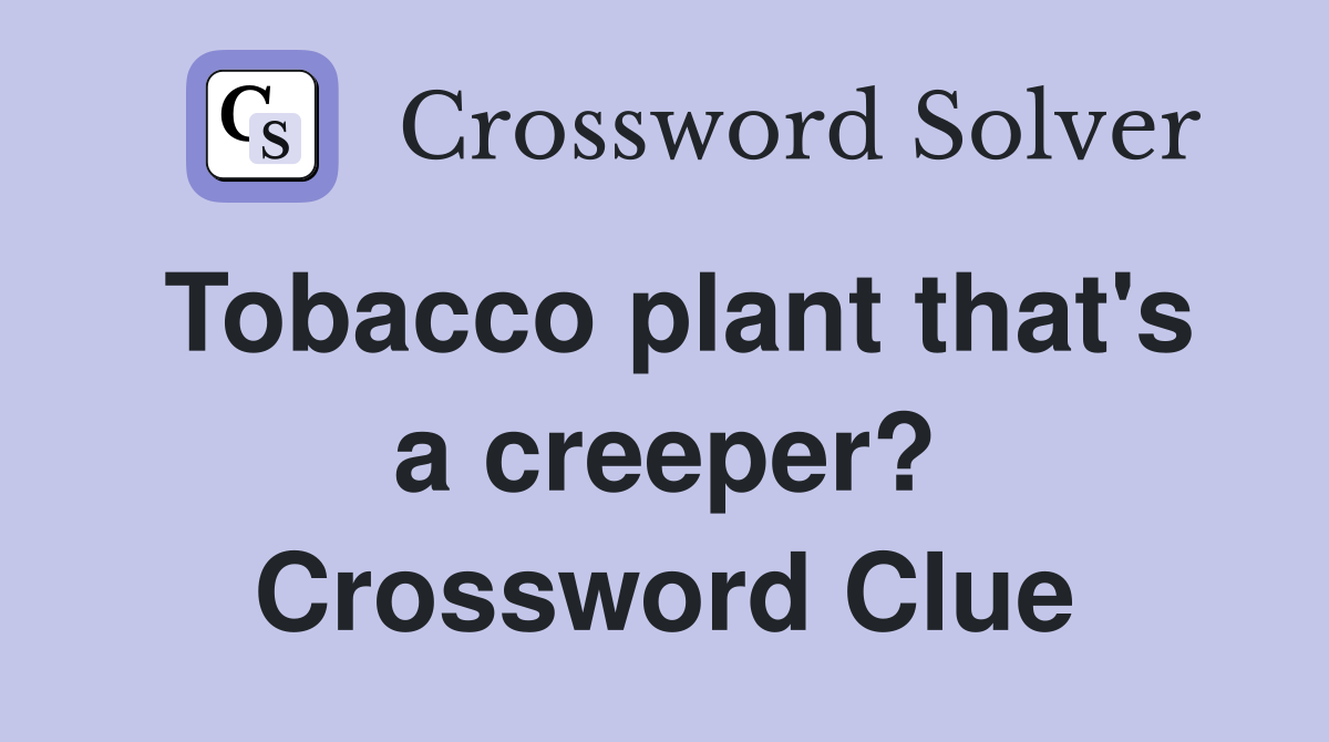 Tobacco plant that's a creeper? Crossword Clue