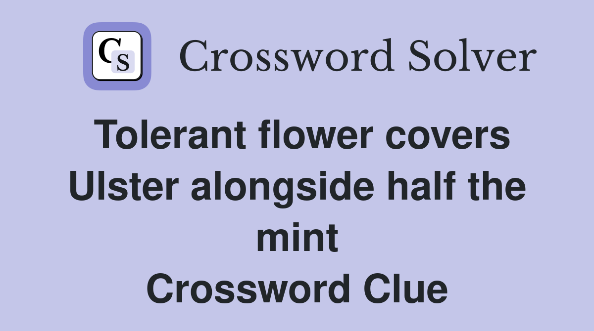 Tolerant flower covers Ulster alongside half the mint Crossword Clue
