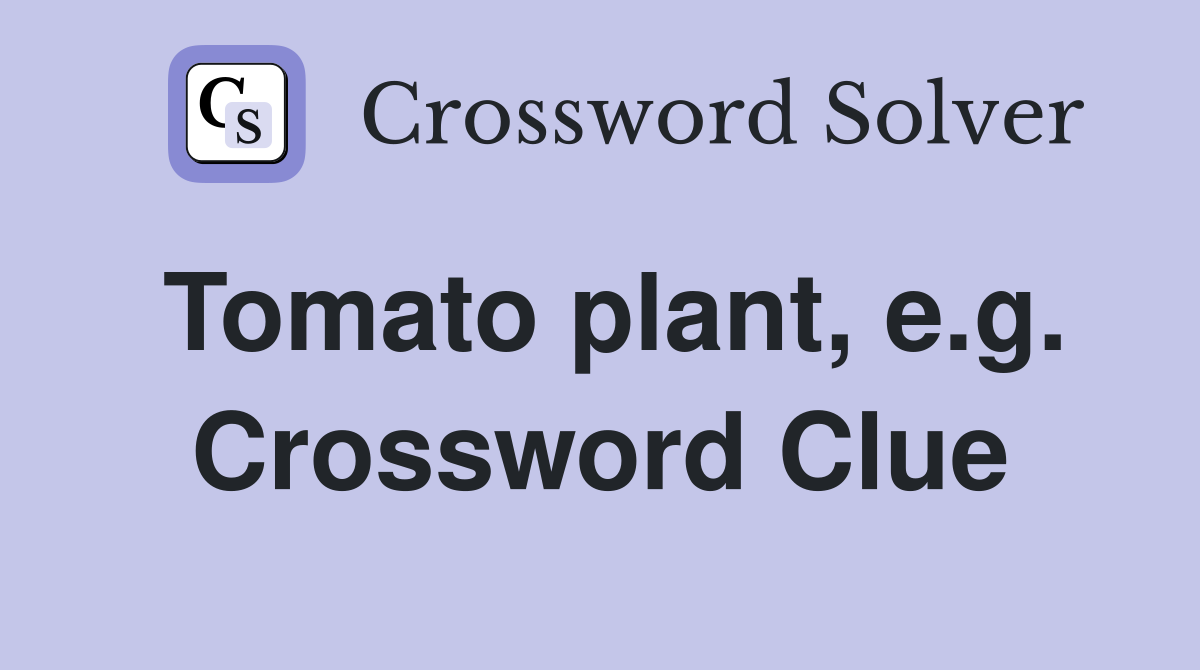 Tomato plant, e.g. Crossword Clue