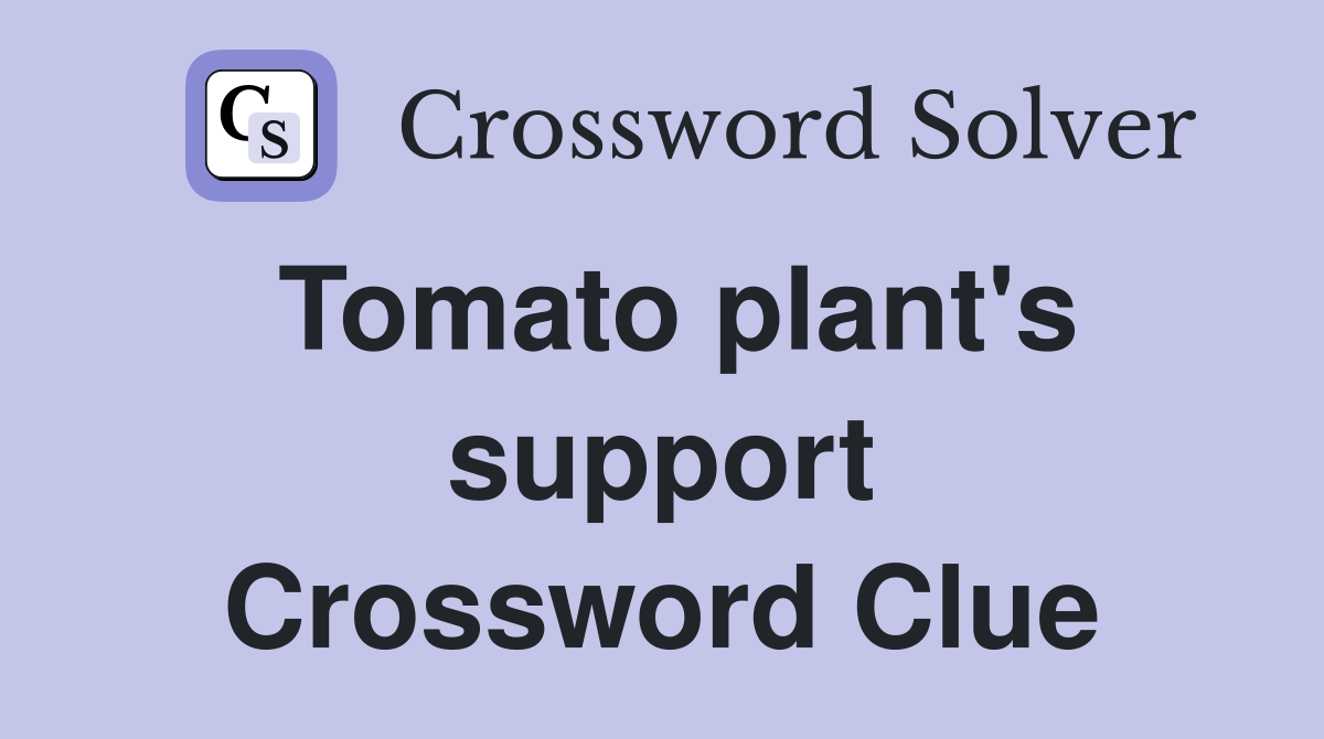 Tomato plant's support Crossword Clue