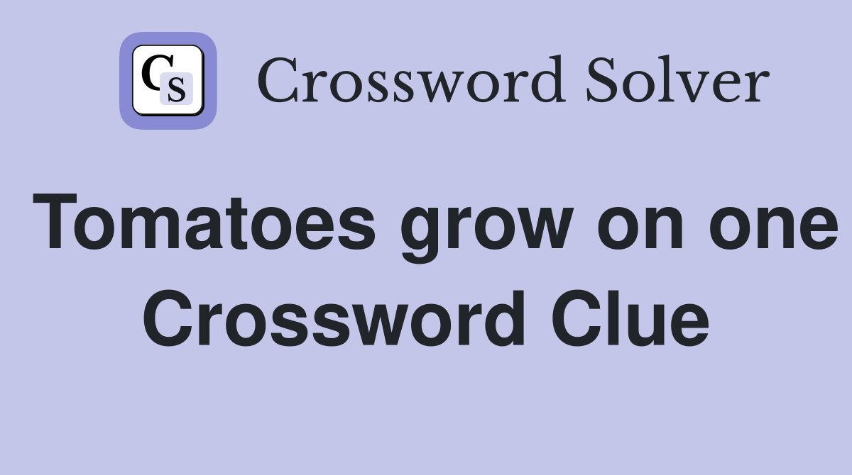 Tomatoes grow on one Crossword Clue