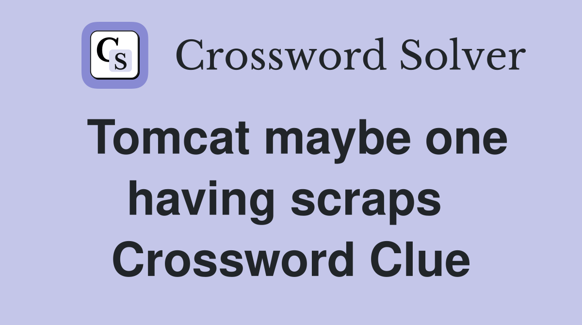 Tomcat maybe one having scraps  Crossword Clue