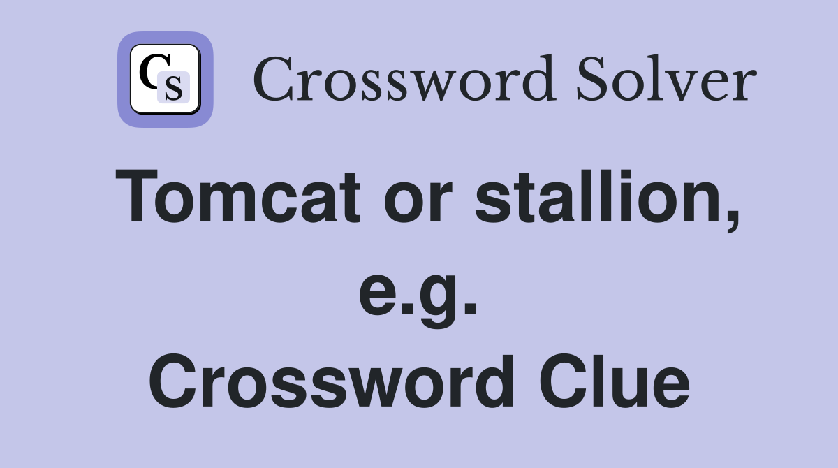 Tomcat or stallion, e.g. Crossword Clue