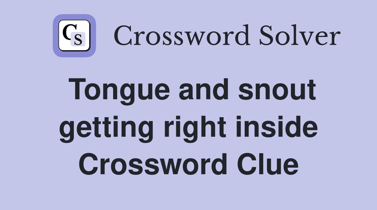 Tongue and snout getting right inside Crossword Clue