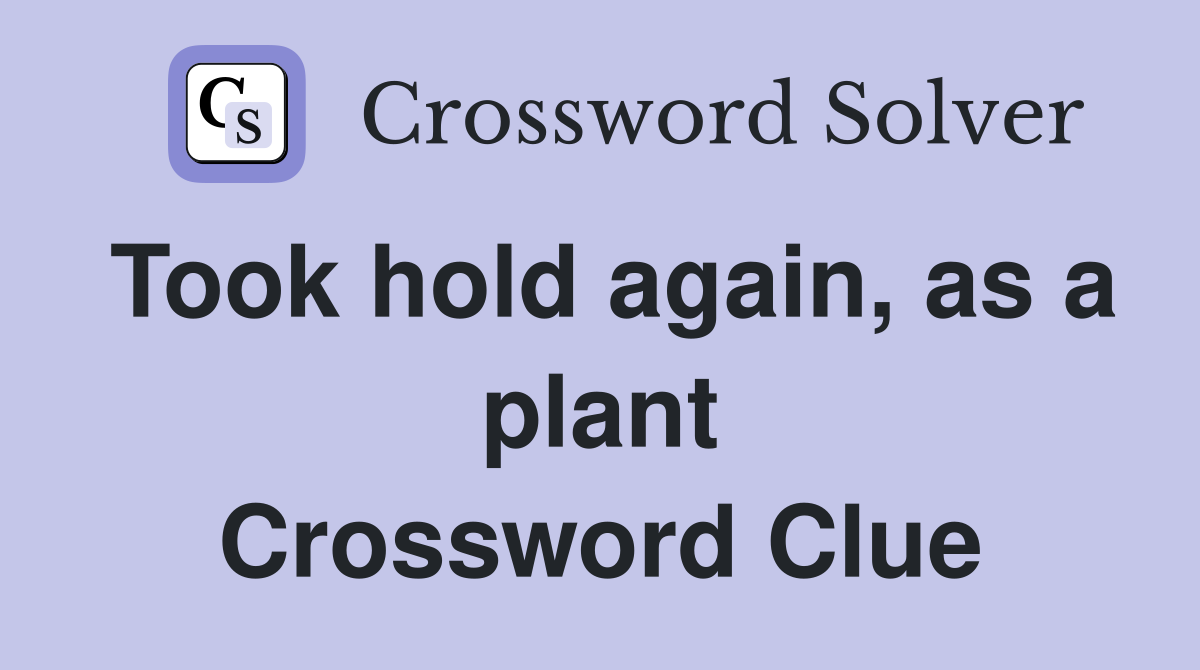 Took hold again, as a plant Crossword Clue