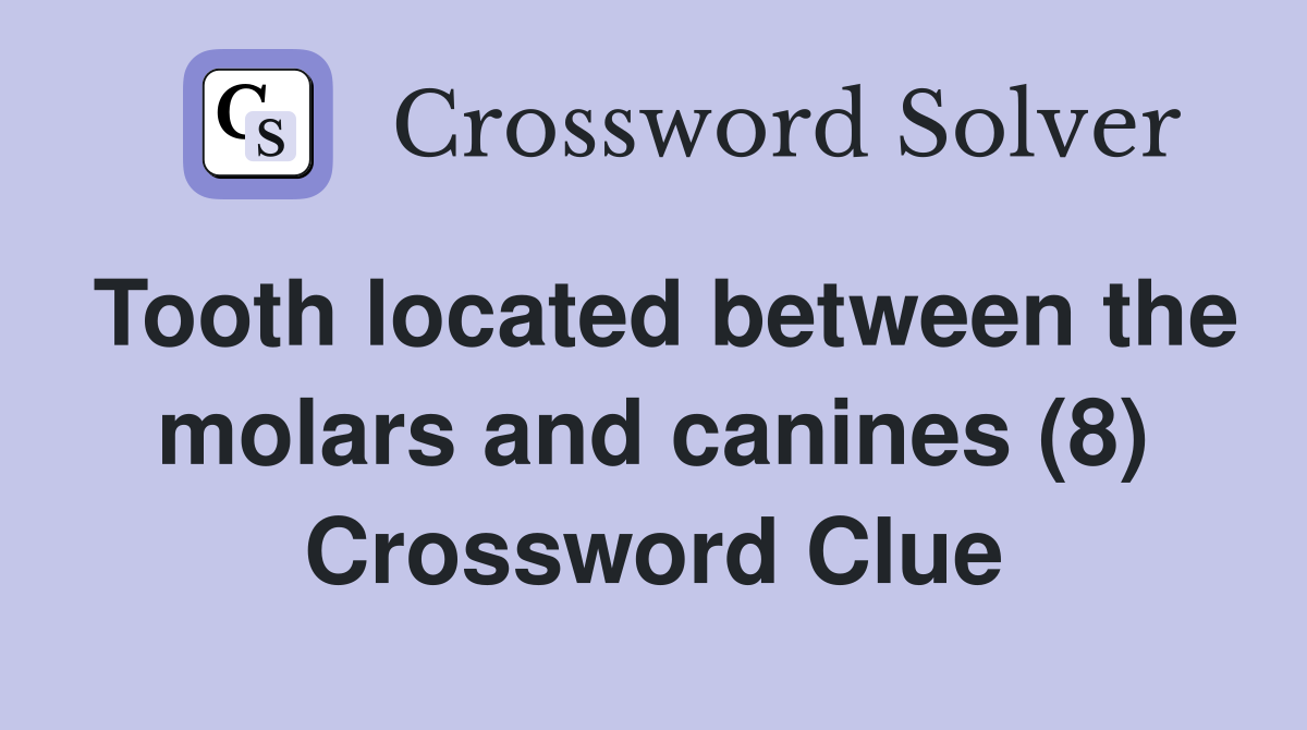 Tooth located between the molars and canines (8) Crossword Clue