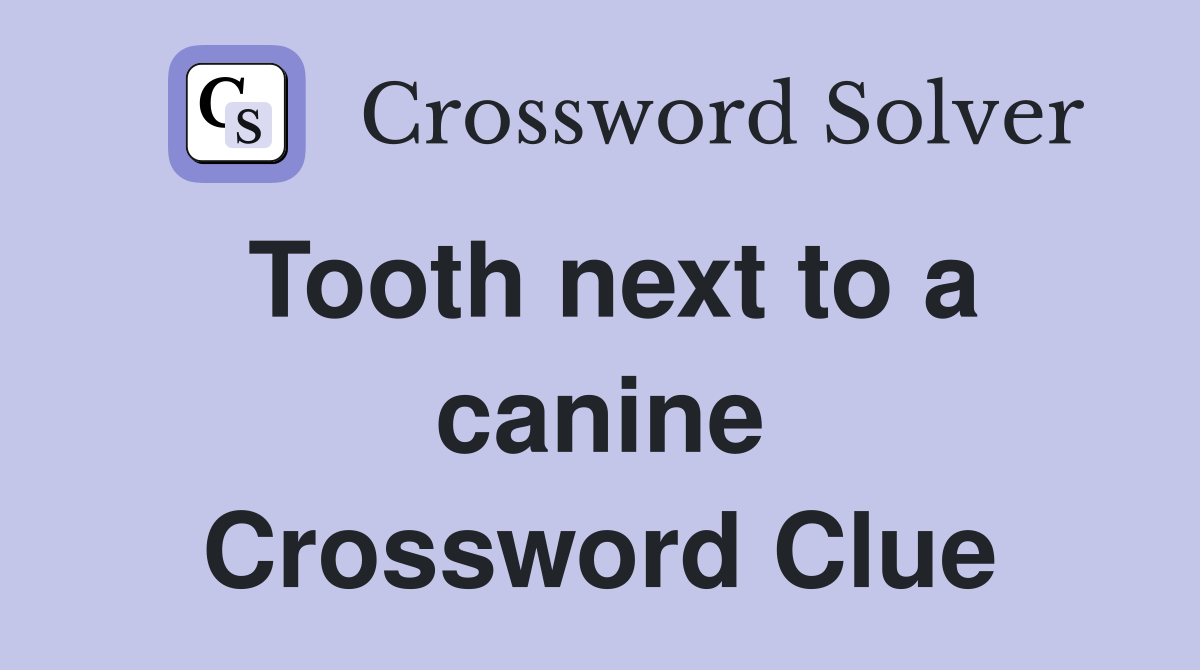 Tooth next to a canine Crossword Clue