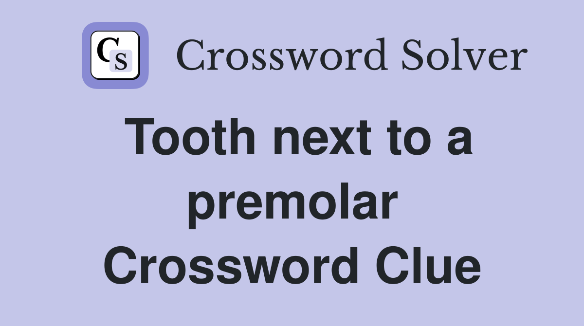 Tooth next to a premolar Crossword Clue
