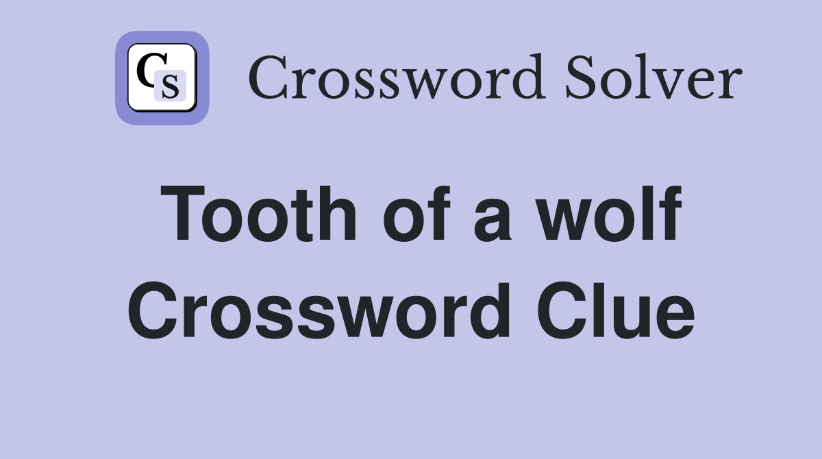 Tooth of a wolf Crossword Clue