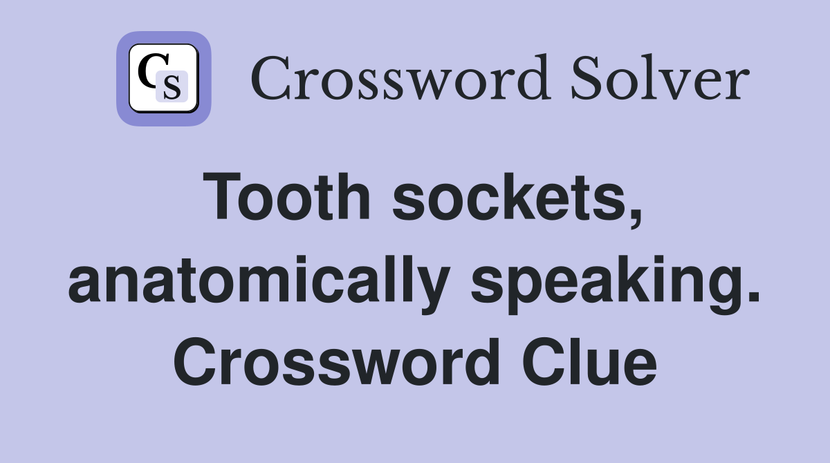 Tooth sockets, anatomically speaking. Crossword Clue