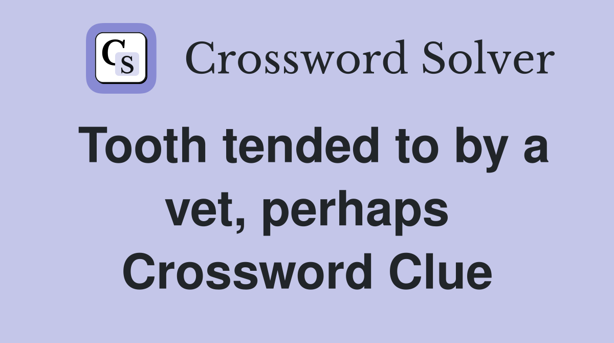 Tooth tended to by a vet, perhaps Crossword Clue