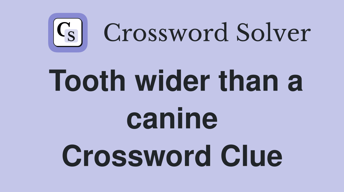 Tooth wider than a canine Crossword Clue