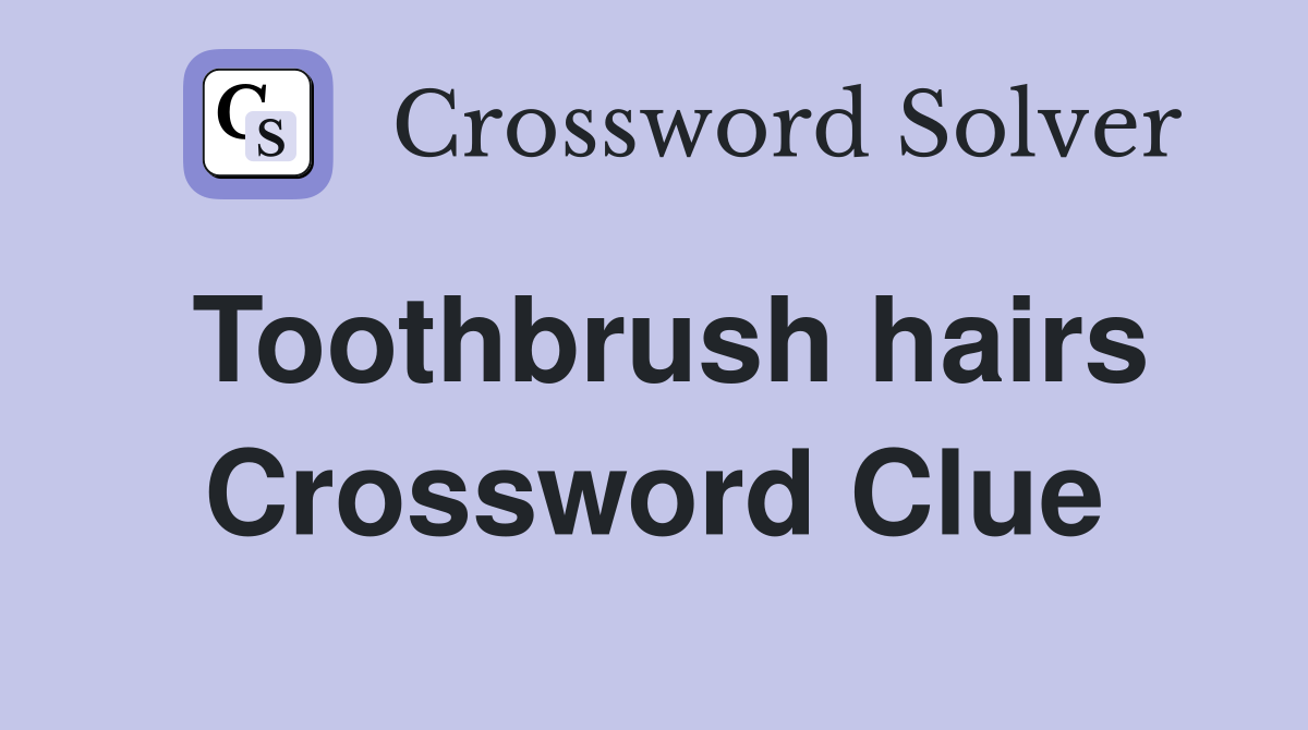Toothbrush hairs Crossword Clue