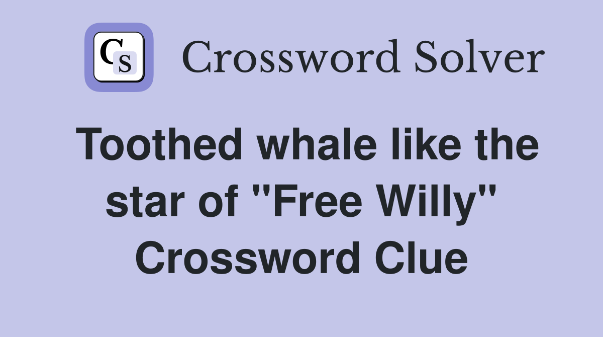 Toothed whale like the star of "Free Willy" Crossword Clue