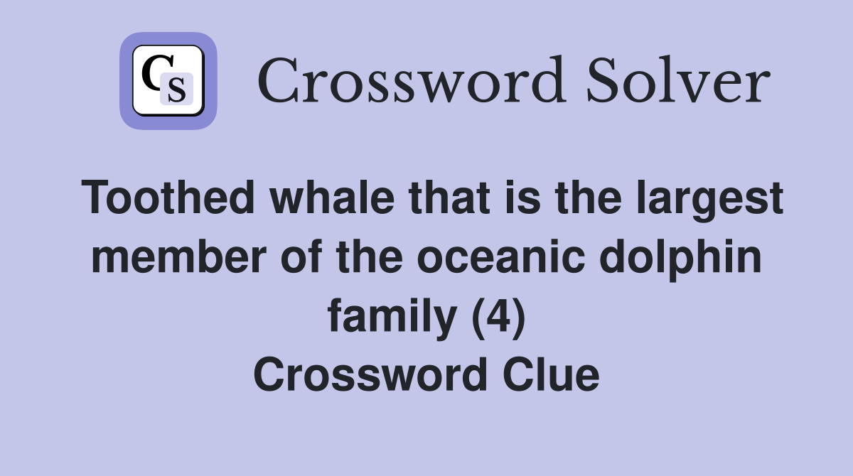 Toothed whale that is the largest member of the oceanic dolphin family (4) Crossword Clue