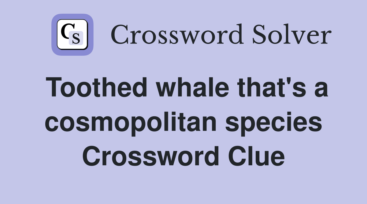 Toothed whale that's a cosmopolitan species Crossword Clue