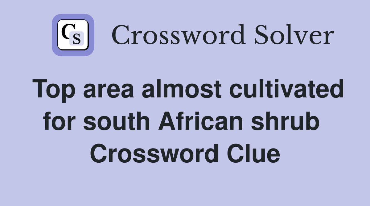 Top area almost cultivated for south African shrub  Crossword Clue