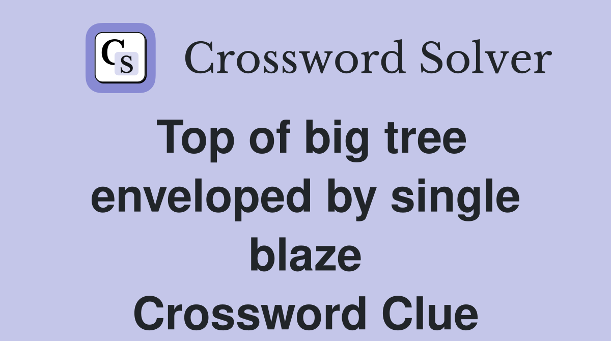 Top of big tree enveloped by single blaze Crossword Clue